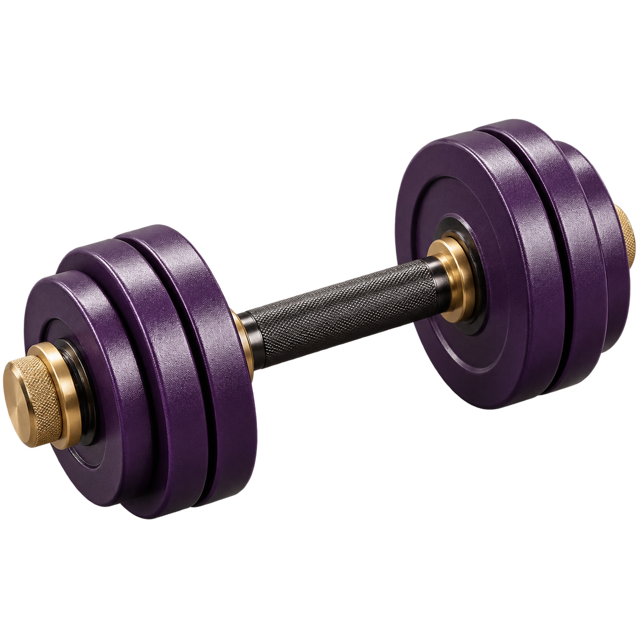 Purple and gold dumbbell